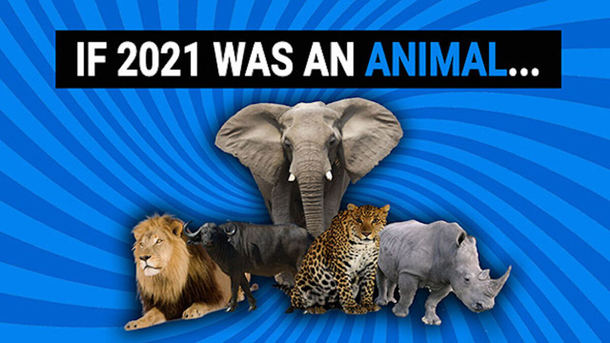 If 2021 Was a... image number null